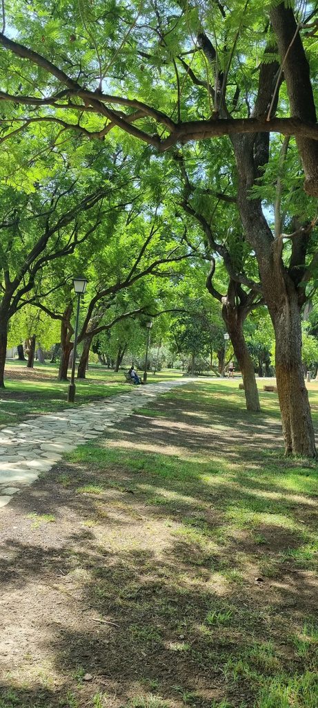 Vu du parc de los principes à Séville, chemin entouré d'arbres